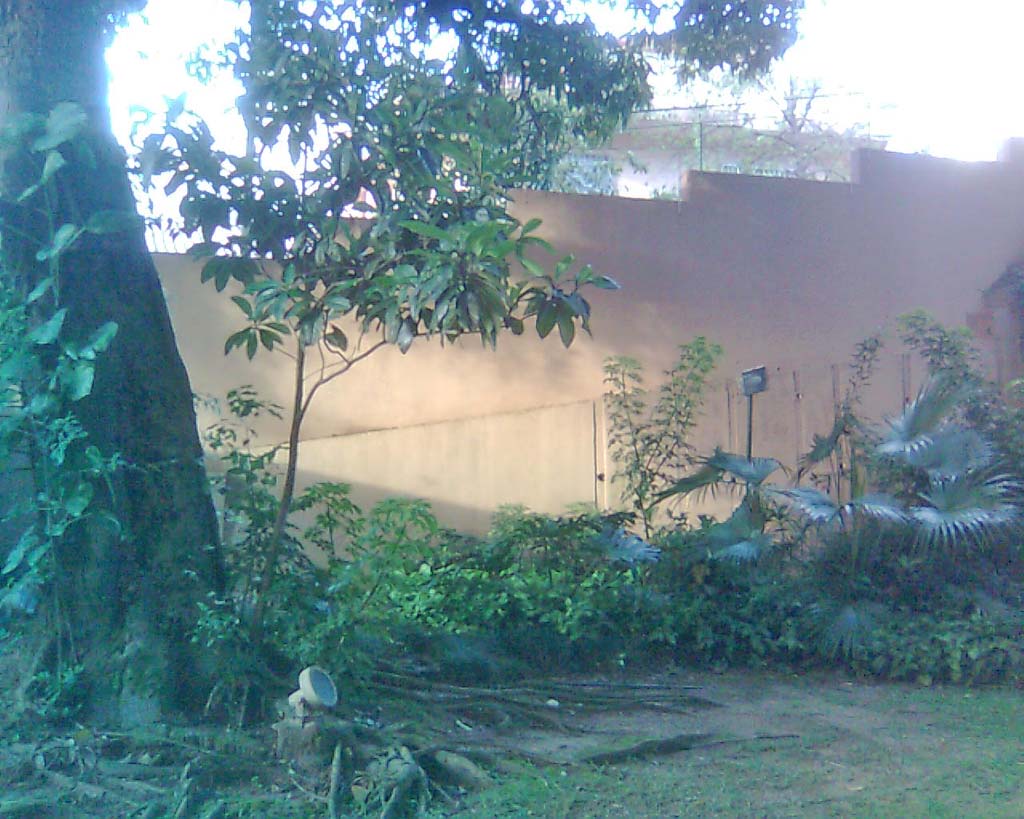 Jardim interno do condom�nio.